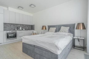 Apartment Karel with garage parking, Prague